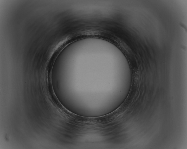 X0000096660727200802050956