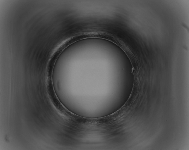 X0000096660728200802050956