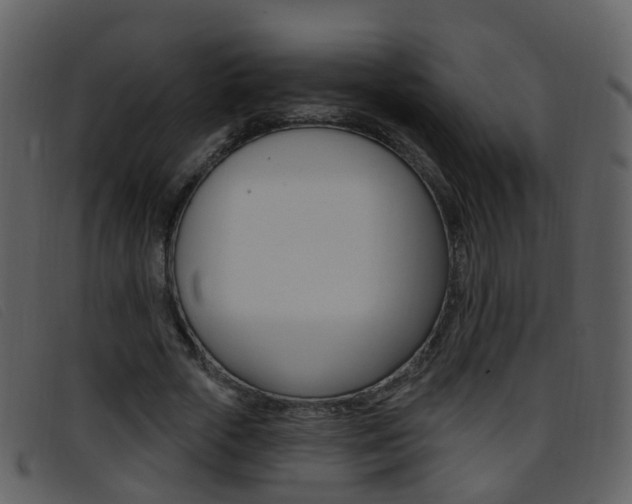 X0000096660729200802050956