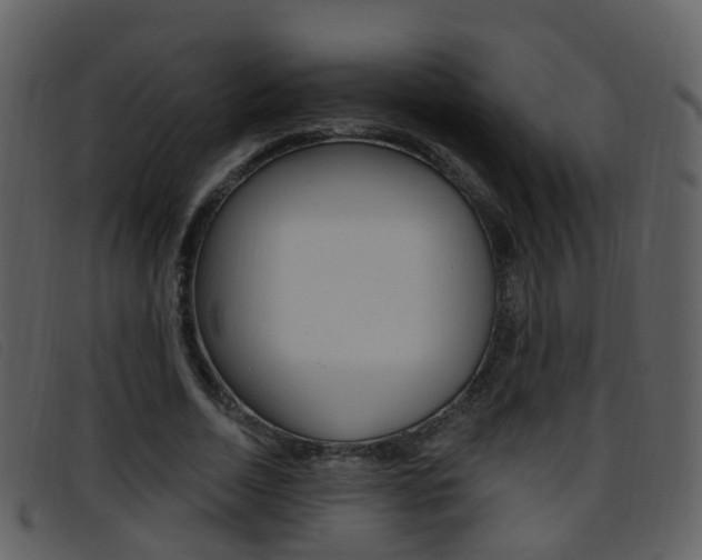 X0000096660730200802050956