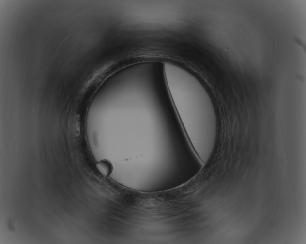 X0000096660731200802050956