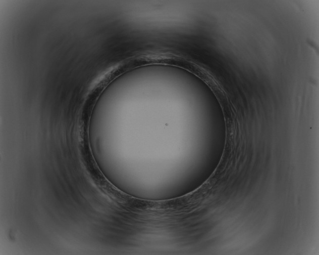 X0000096660732200802050956