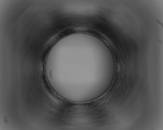 X0000096660733200802050956