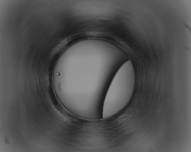 X0000096660734200802050956