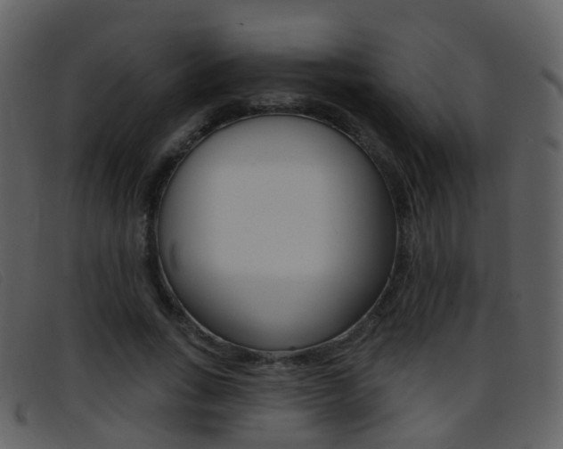 X0000096660735200802050956