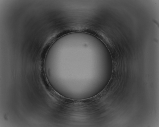 X0000096660736200802050956