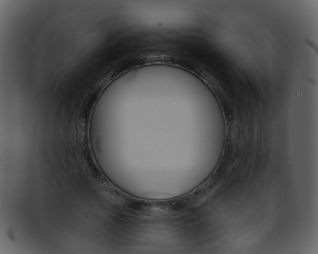 X0000096660737200802050956