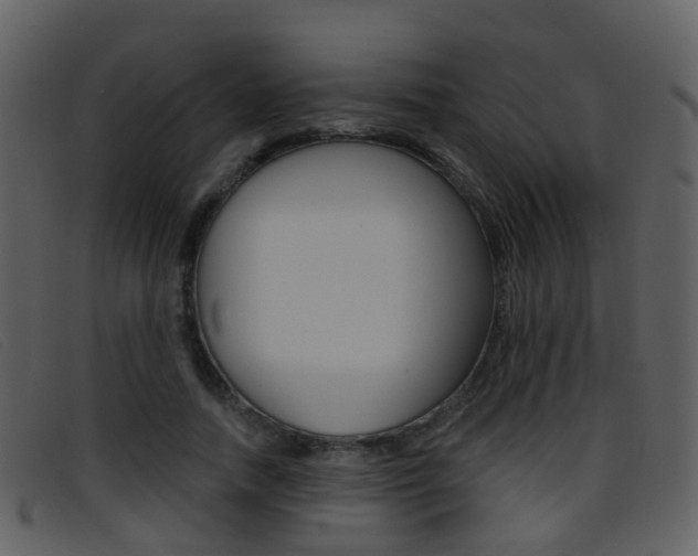 X0000096660738200802050956