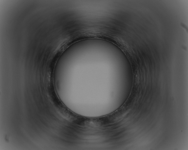 X0000096660739200802050956