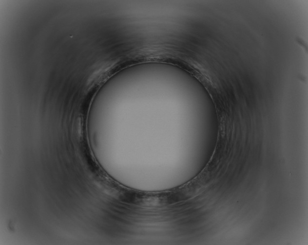 X0000096660740200802050956