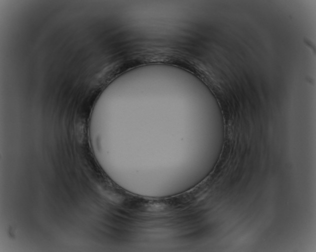 X0000096660741200802050956