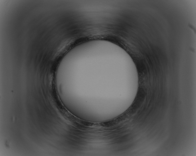 X0000096660742200802050956