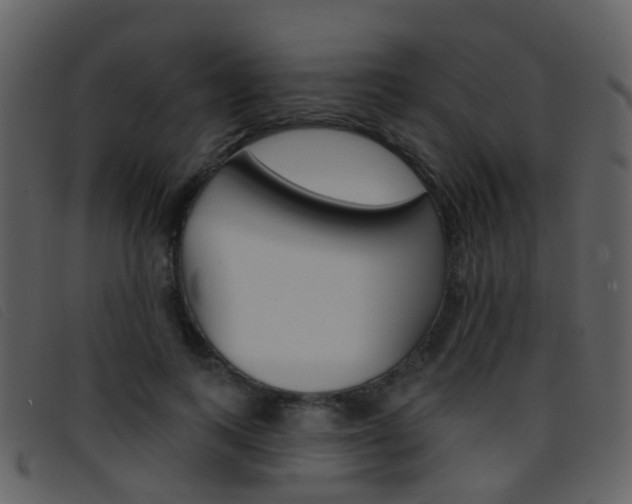X0000096660743200802050956