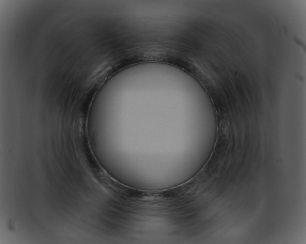 X0000096660744200802050956