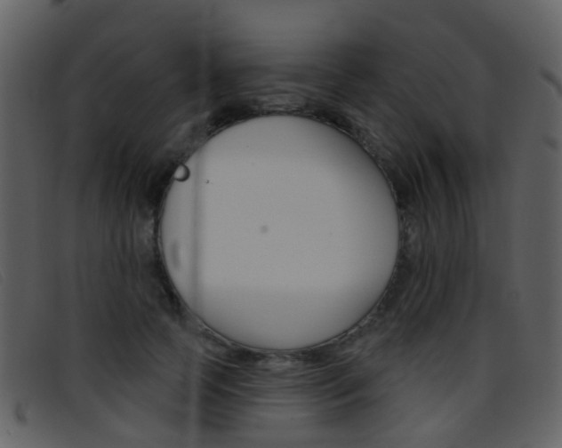 X0000096660745200802050956