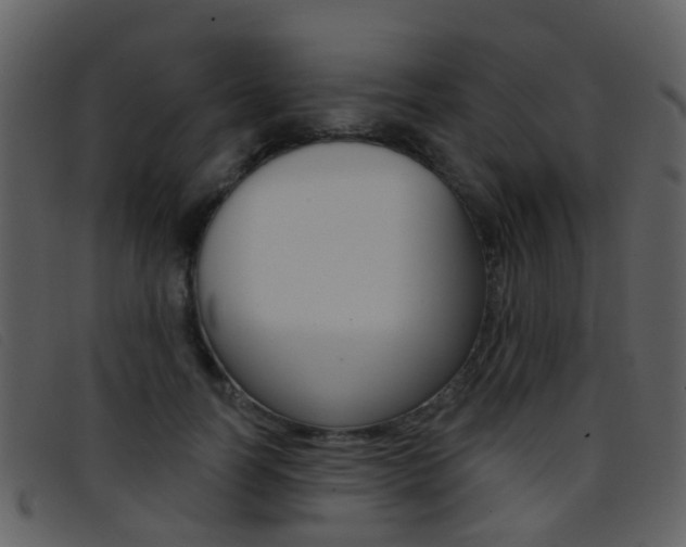 X0000096660746200802050956