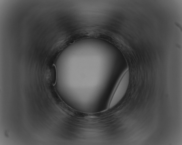 X0000096660748200802050956