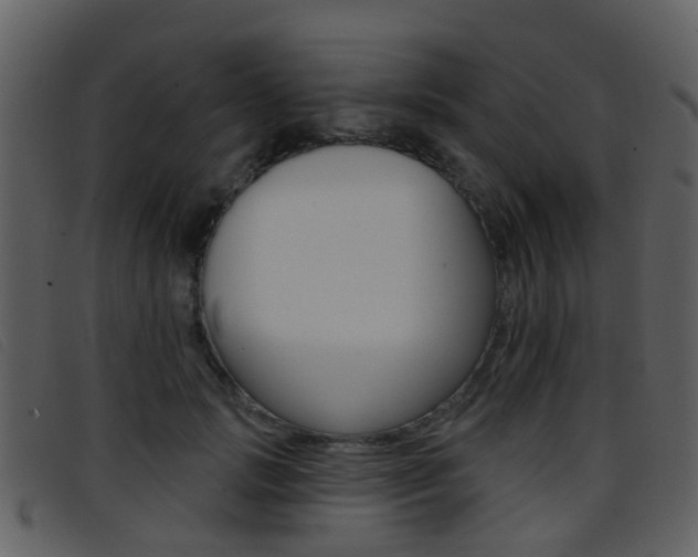 X0000096660749200802050956