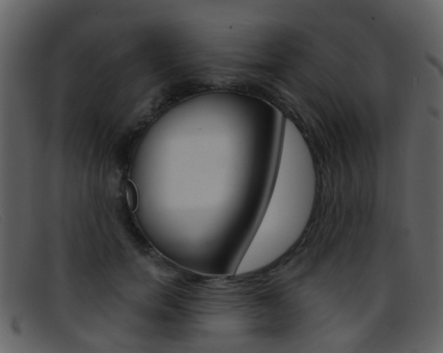 X0000096660750200802050956