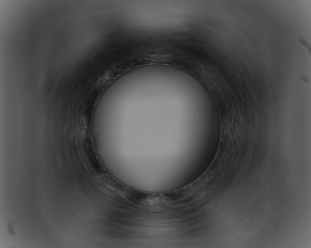 X0000096660752200802050956