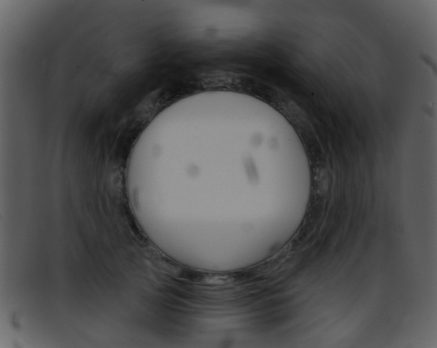 X0000096660753200802050956