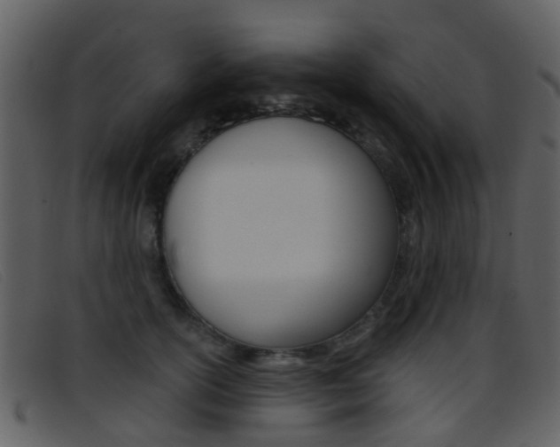 X0000096660754200802050956