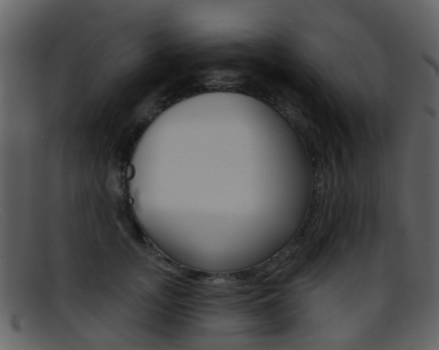 X0000096660755200802050956