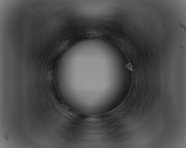 X0000096660756200802050956