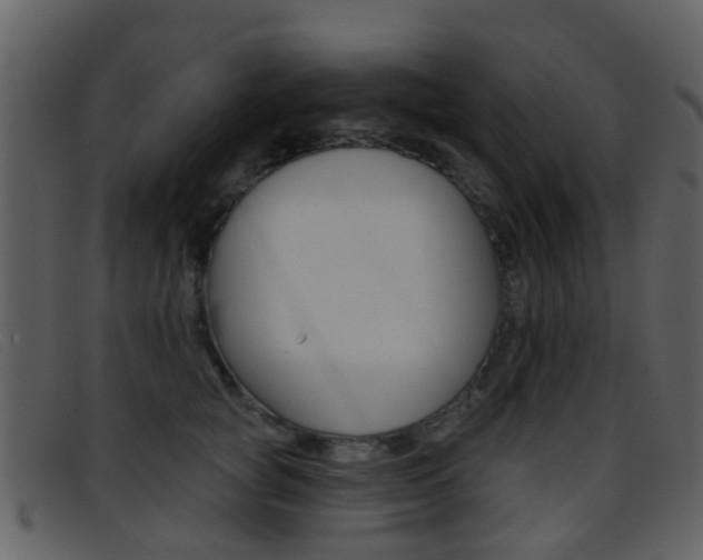 X0000096660757200802050956