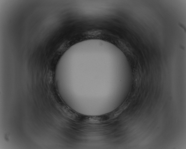 X0000096660758200802050956