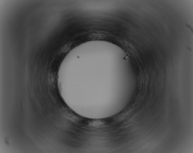 X0000096660759200802050956