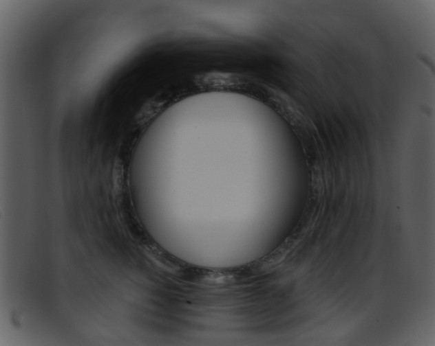 X0000096660760200802050956