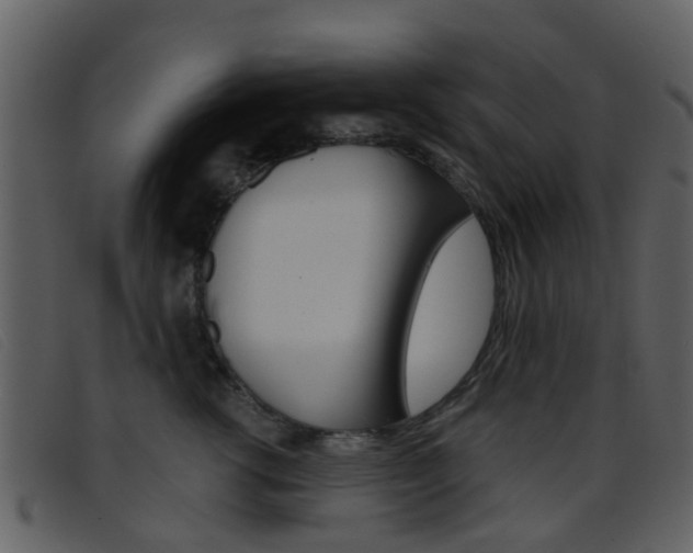X0000096660762200802050956