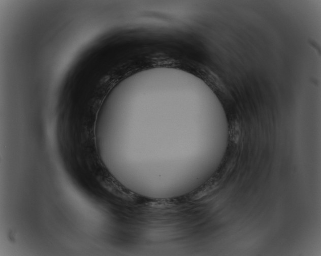 X0000096660763200802050956