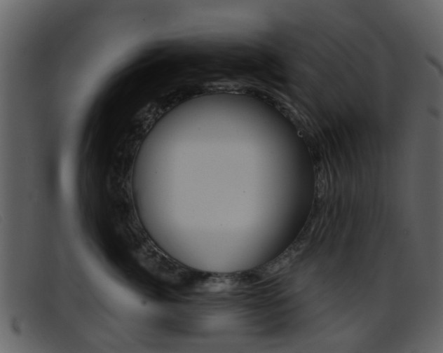 X0000096660764200802050956