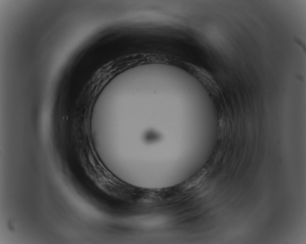 X0000096660765200802050956
