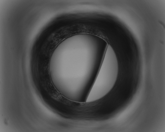 X0000096660766200802050956