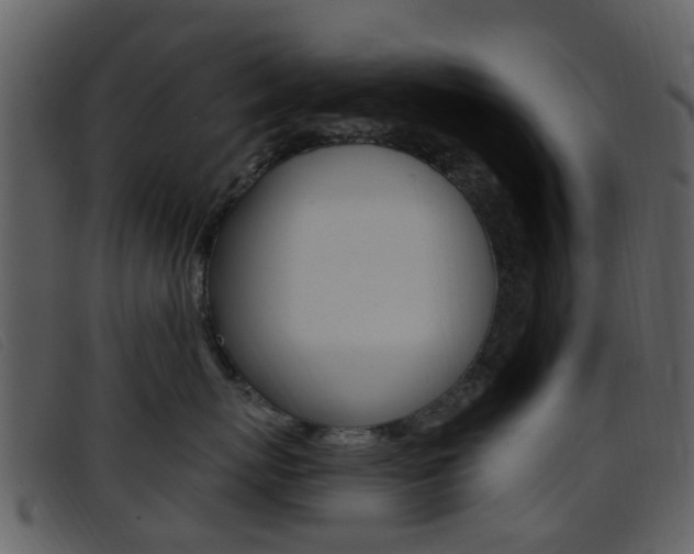 X0000096660767200802050956