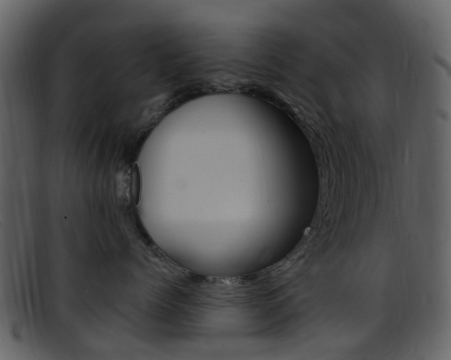 X0000096660768200802050956