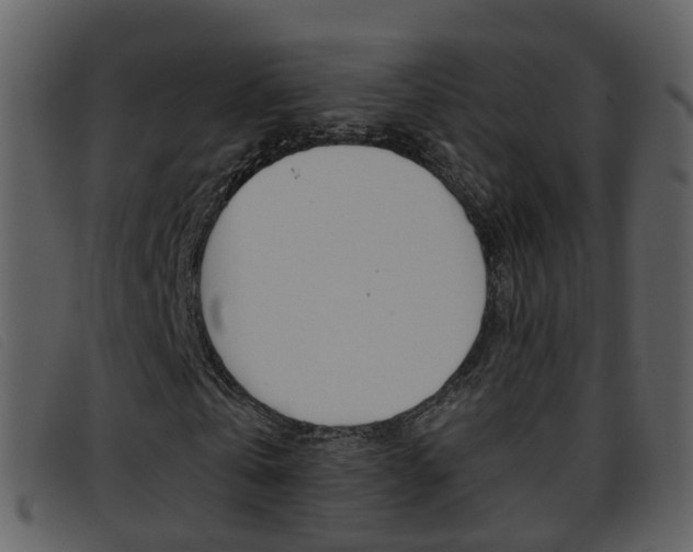 X0000096660769200802050956