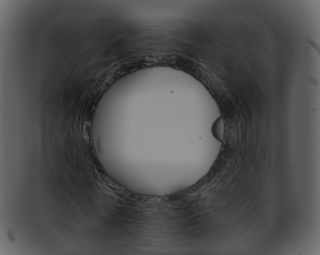 X0000096660770200802050956