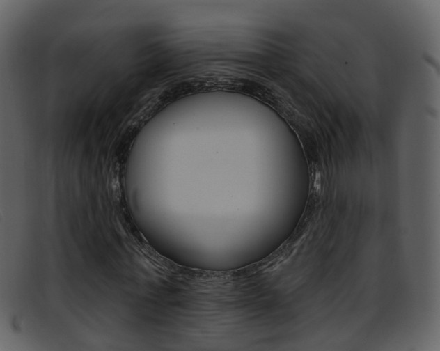 X0000096660771200802050956