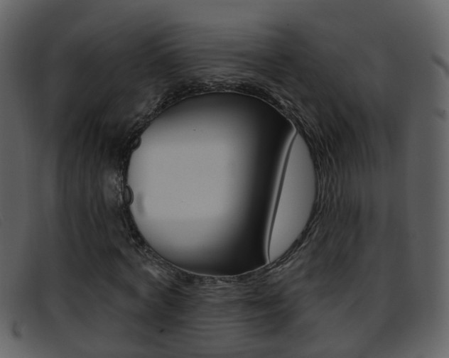 X0000096660772200802050956