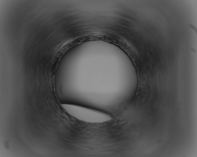 X0000096660773200802050956