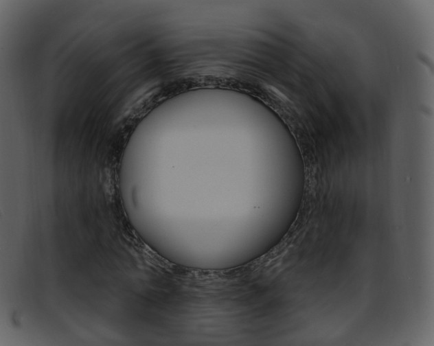 X0000096660774200802050956