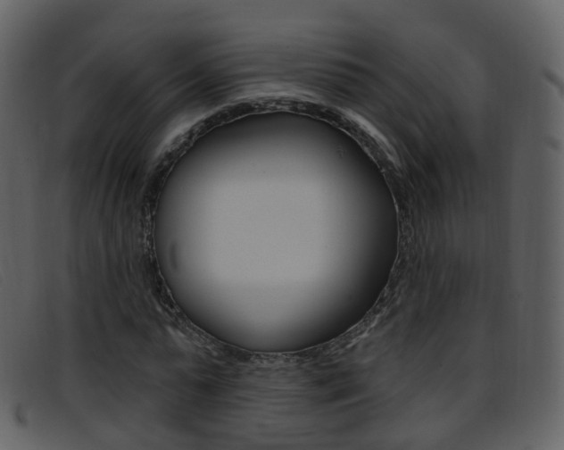 X0000096660775200802050956