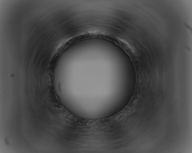 X0000096660776200802050955