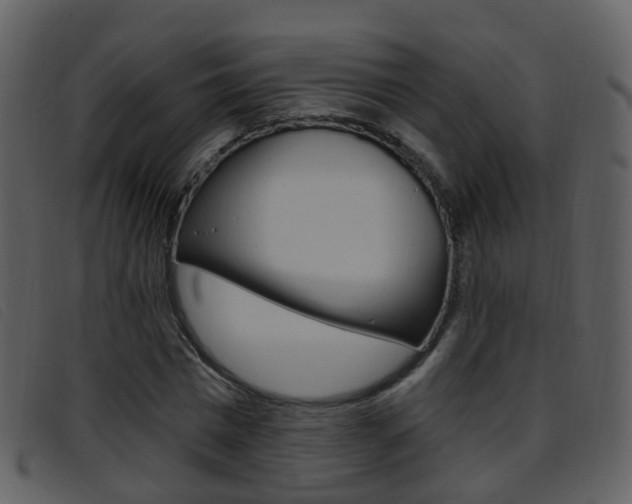 X0000096660777200802050955
