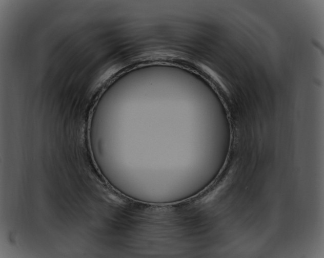 X0000096660778200802050955