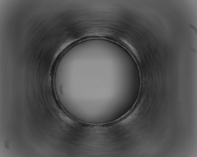 X0000096660779200802050955